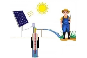 2HP Dalgıç Pompa - Tarımsal Sulama Sistemi