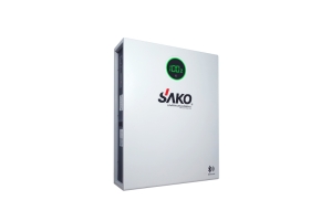 Li-Pack 25,6V-200Ah (LiFePo4)