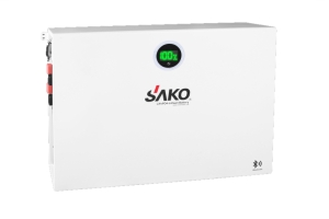 Li-Pack 51,2V-200Ah (LiFePo4)