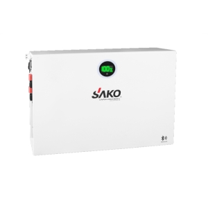 Li-Pack 51,2V-200Ah (LiFePo4)