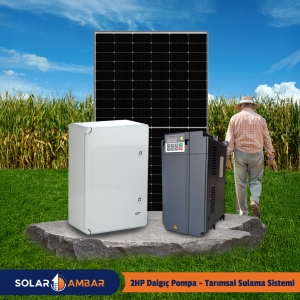2HP Dalgıç Pompa - Tarımsal Sulama Sistemi